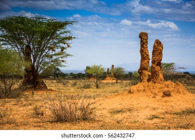 Great Rift Valley - Ethiopia - Termite Mound