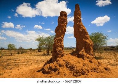 Great Rift Valley - Ethiopia - Termite Mound