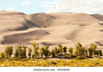 Great Sand Dunes And Field