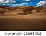 The Great Sand Dunes NP in Colorado is a hidden gem with vast dunes against a beautiful sky. It offers a surreal experience for hikers and sandboarders. It