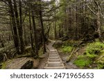 Great Smokey Mountains National Park, North Carolina, USA - May 29, 2024: Hiking trails in the Smokey Mountains are huge tourist attraction. This park is the most visited in USA. 