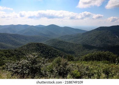 Great Smokey Mountains National Park