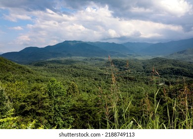 Great Smokey Mountains National Park