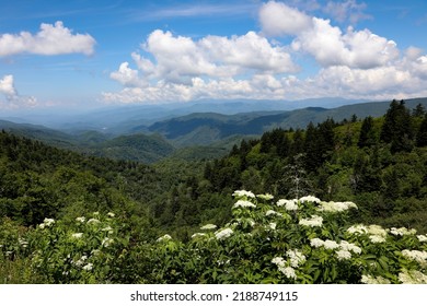 Great Smokey Mountains National Park