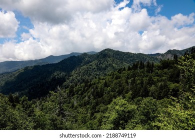 Great Smokey Mountains National Park