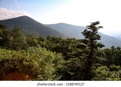 Great Smokey Mountains National Park