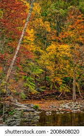 Great Smokey Mountains, Tennessee, USA