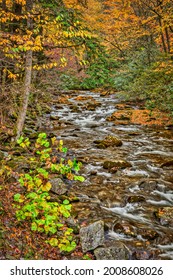 Great Smokey Mountains, Tennessee, USA