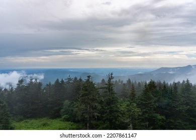 Great Smoky Mountain National Park. Foggy, Cloudy Mountain Views From Clingmans Dome - Highest Point In Park, Tennessee, And Appalachian Trail. Spruce-fir Forest Is Coniferous Rainforest.