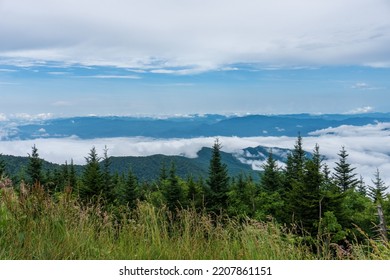 Great Smoky Mountain National Park. Foggy, Cloudy Mountain Views From Clingmans Dome - Highest Point In Park, Tennessee, And Appalachian Trail. Spruce-fir Forest Is Coniferous Rainforest.