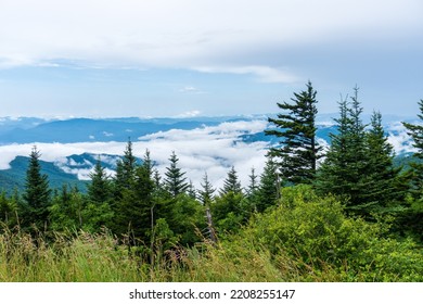 Great Smoky Mountain National Park. Foggy, Cloudy Mountain Views From Clingmans Dome - Highest Point In Park, Tennessee, And Appalachian Trail. Spruce-fir Forest Is Coniferous Rainforest.