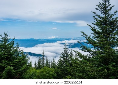 Great Smoky Mountain National Park. Foggy, Cloudy Mountain Views From Clingmans Dome - Highest Point In Park, Tennessee, And Appalachian Trail. Spruce-fir Forest Is Coniferous Rainforest.