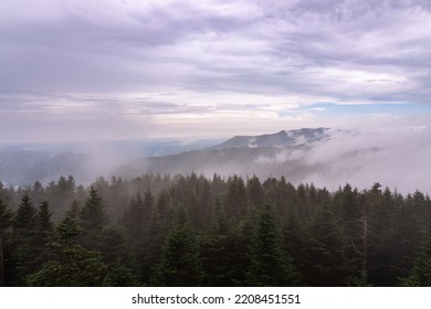 Great Smoky Mountain National Park. Foggy, Cloudy Mountain Views From Clingmans Dome - Highest Point In Park, Tennessee, And Appalachian Trail. Spruce-fir Forest Is Coniferous Rainforest.