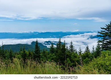 Great Smoky Mountain National Park. Foggy, Cloudy Mountain Views From Clingmans Dome - Highest Point In Park, Tennessee, And Appalachian Trail. Spruce-fir Forest Is Coniferous Rainforest.