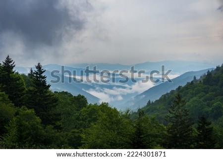 Great Smoky Mountain National Park. Foggy, cloudy mountain views from Clingmans Dome - highest point in park, Tennessee, and Appalachian Trail. Spruce-fir forest is coniferous rainforest.