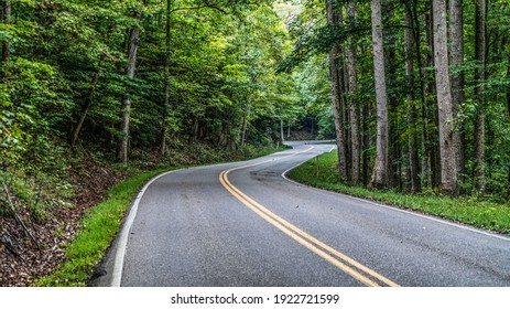 Great Smoky Mountains Forest Road With Twists And Turns.