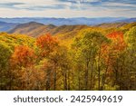 Great Smoky Mountains National Park - Fall Colors - Mountain Landscape