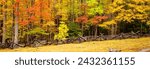 Great Smoky Mountains National Park, Tennessee - Trees showing brilliant autumn fall colors with a split rail fence in the forest