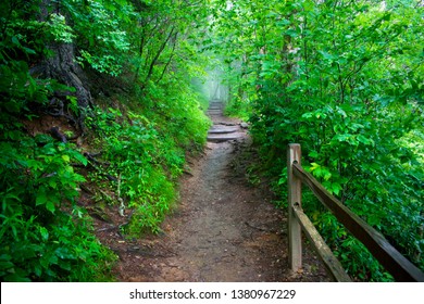 Great Smoky Mountains National Park 