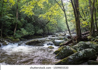 Great Smoky Mountains National Park