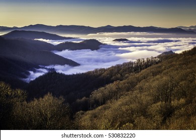 Great Smoky Mountains National Park, Early Morning, North Carolina, USA.