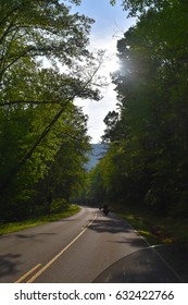 Great Smoky Mountains National Park Highway, Spring Morning, Sunrise, Trees, Shadows, Motorcycle Riders, Scenic