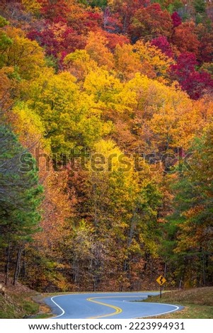 Great Smoky Mountains National Park - Autumn Colors in Foothills Parkway