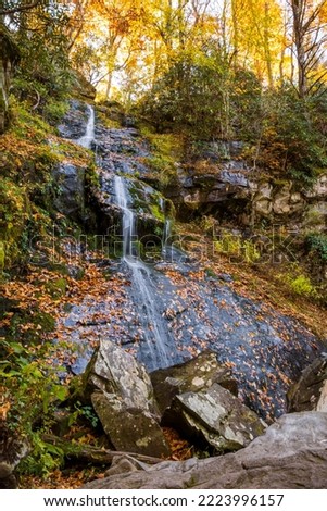 Great Smoky Mountains National Park - Hen Wallow Falls