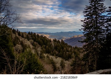 Great Smoky Mountains - Tennessee Nature Photography In The Winter