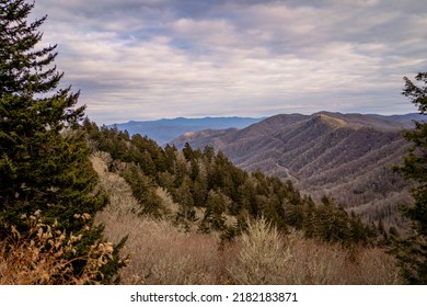 Great Smoky Mountains - Tennessee Nature Photography In The Winter