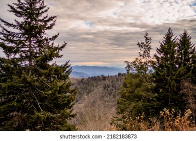 Great Smoky Mountains - Tennessee Nature Photography In The Winter