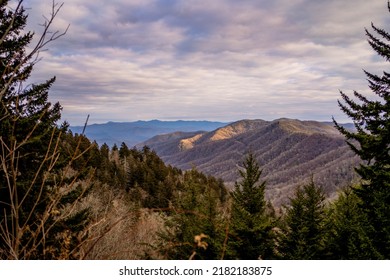 Great Smoky Mountains - Tennessee Nature Photography In The Winter