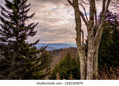 Great Smoky Mountains - Tennessee Nature Photography In The Winter