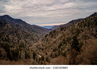 Great Smoky Mountains - Tennessee Nature Photography In The Winter