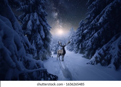 A Great Stag Stands In A Cold Winter Night In The Snowy Forest