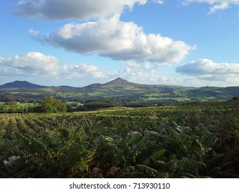 Great Sugar Loaf Mountain, County Wicklow, Ireland