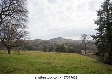 Great Sugar Loaf - View From Powerscourt