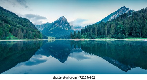 Higgins Råd Meyella Great Nature Images, Stock Photos & Vectors | Shutterstock