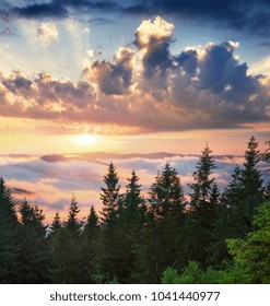 Great Summer View Of Carpathians. Impressive Sunrise With Sea Of Fog Lighting By First Sunlight. Dramatic Morning Scene On The Mountain Valley, Ukraine, Europe. Beauty Of Nature Concept Background.
