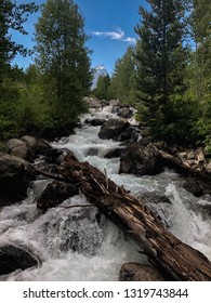 The Great Teton