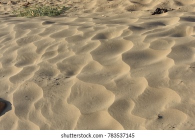 The Great Thar Desert Jaisalmer Rajasthan India