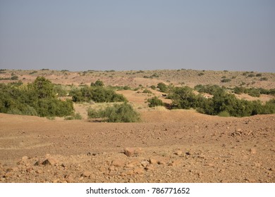 Great Thar Desert Jaisalmer Rajasthan India