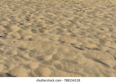 The Great Thar Desert Jaisalmer Rajasthan India