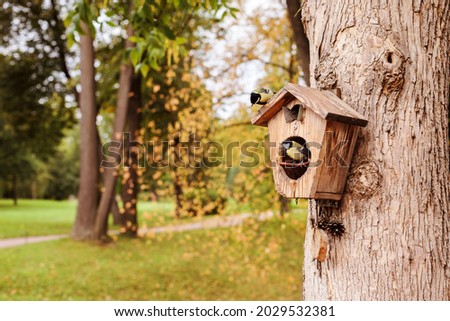 Great tit on a birdhouse on the tree in the autumn park, copy space.  Сток-фото © 