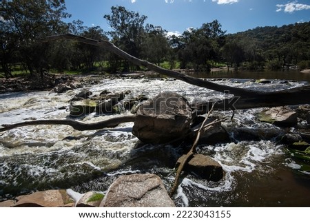 A great tree falls onto the granite rocks of Bell's Rapids at the confluence of the Swan and Avon Rivers near Baskerville, Western Australia.