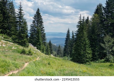 Great View Of The Landscape Below Through The Trees From Our Hiking Trail In Durmitor, Montenegro.