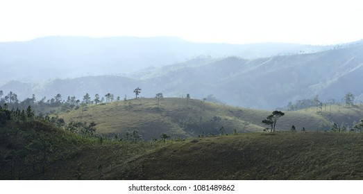 Great View Of Mountain Pine Ridge In Belize. 