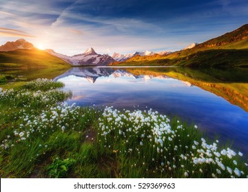 Great view of Mt. Schreckhorn and Wetterhorn above Bachalpsee lake. Dramatic and picturesque scene. Popular tourist attraction. Location place Swiss alps, Grindelwald valley, Europe. Beauty world.