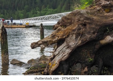 Great View On Indian Arm Park Located In The Lower Mainland Of BC Canada