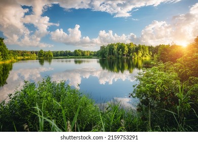 Great view of the quiet lake and green forest on a sunny day. Location place Small Polissya, Ukraine, Europe. Photo of nature concept. Perfect summertime wallpaper. Discover the beauty of earth.